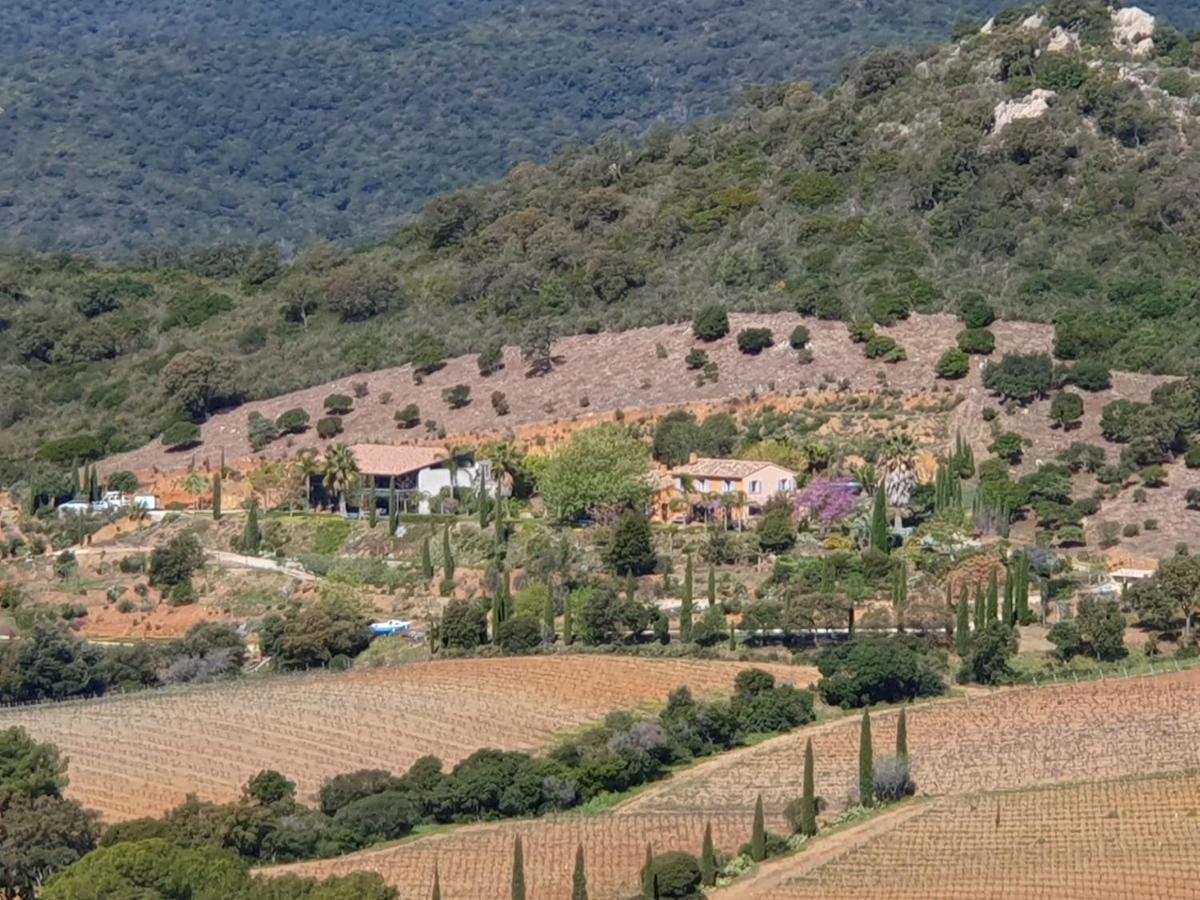 Bel Appart Style Vintage Vue Mer La Londe-les-Maures Eksteriør billede