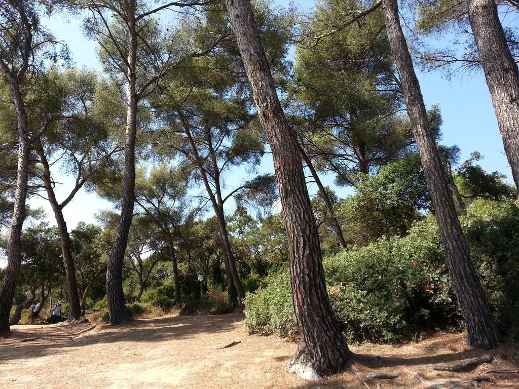 Bel Appart Style Vintage Vue Mer La Londe-les-Maures Værelse billede
