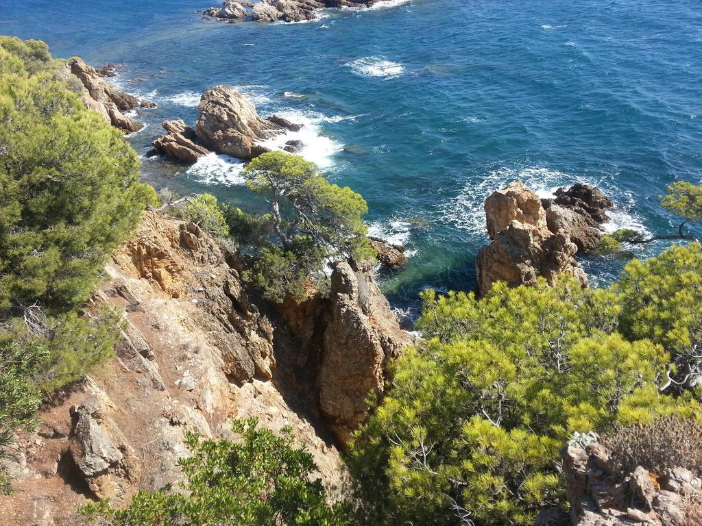 Bel Appart Style Vintage Vue Mer La Londe-les-Maures Eksteriør billede